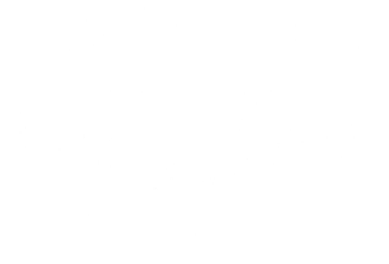 OpelOmegaTeamBiałypng.png